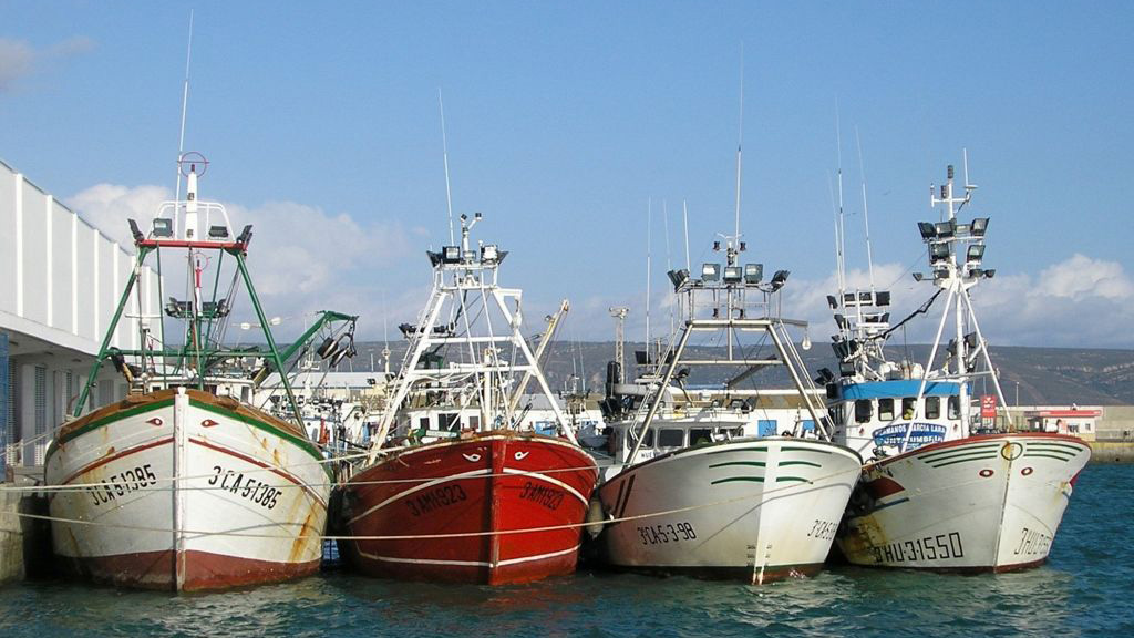 La flota de cerco del Golfo de Cádiz sigue sin faenar huelva punta