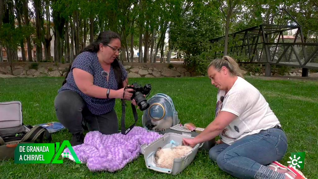 Los Repobladores En Chirivel Ha Apostado Por Lo Rural Y Ha Creado Su