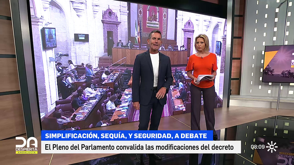 El Parlamento Andaluz Convalida Las Modificaciones Del Decreto De