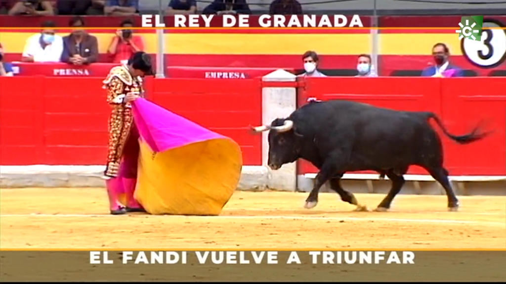 Toros Canal Sur