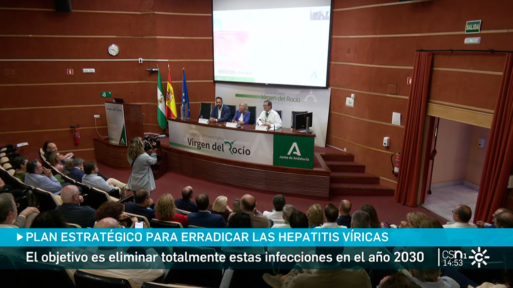 The Andalusian plan to combat viral hepatitis aims to diagnose 90% of people infected with type C.