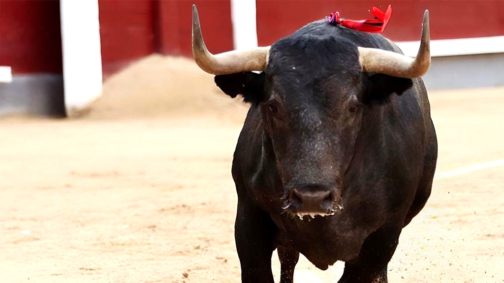 Tardes de toros y rejones desde Osuna, este fin de semana en Canal Sur